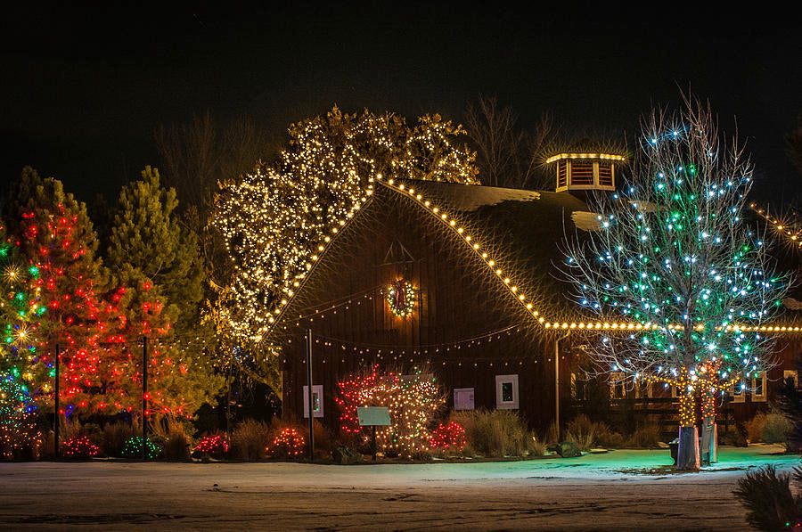 Holidays At The Asparagus Farm Unique Wreaths and Tree  Of Life !!