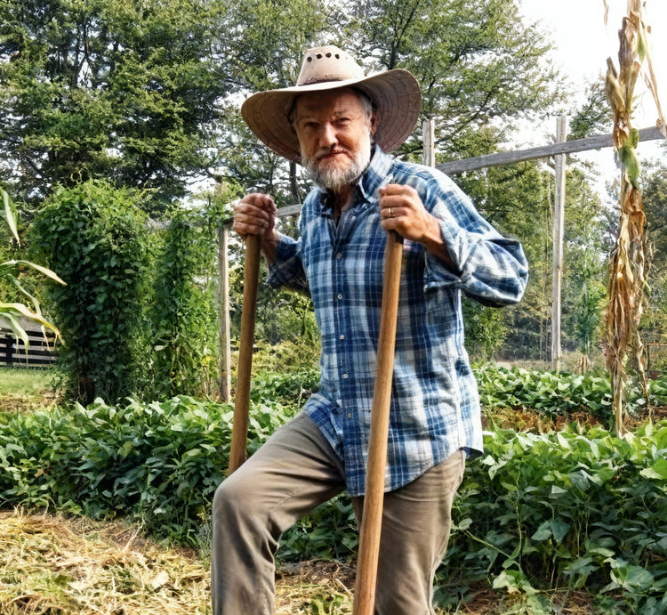 Where to buy the best mature organic farm raised 3 year Asparagus roots and crowns near me. The Asparagus are mature and ready to start producing for you. Plant many Asparagus varieties Easy to plant and fast to grow.