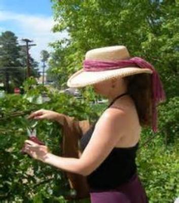 Buy the Best farm raised organic mature.  Raspberry Strawberry Apple Trees Grapes Plants For Sale. Just plant and harvest for many years.