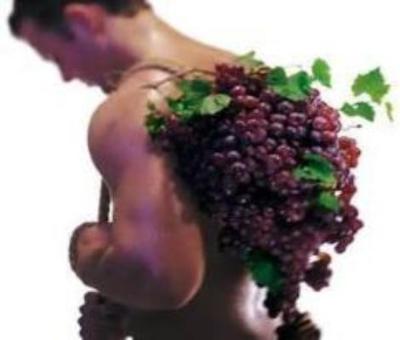 Grape Vines For Sale Purple Concord - Heimhold White Buy Best***