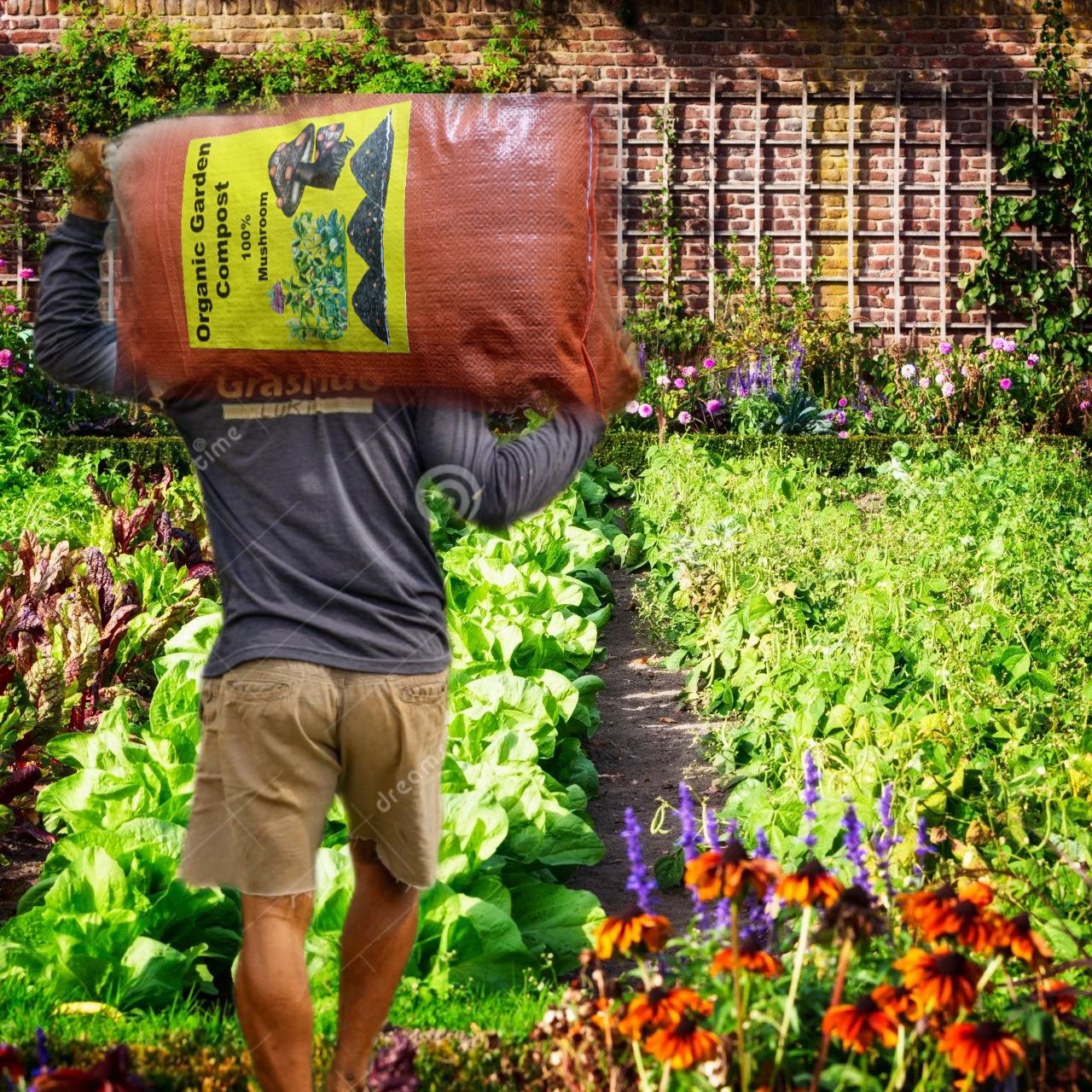 Quality premium Mushroom Compost organic farm made in the USA.