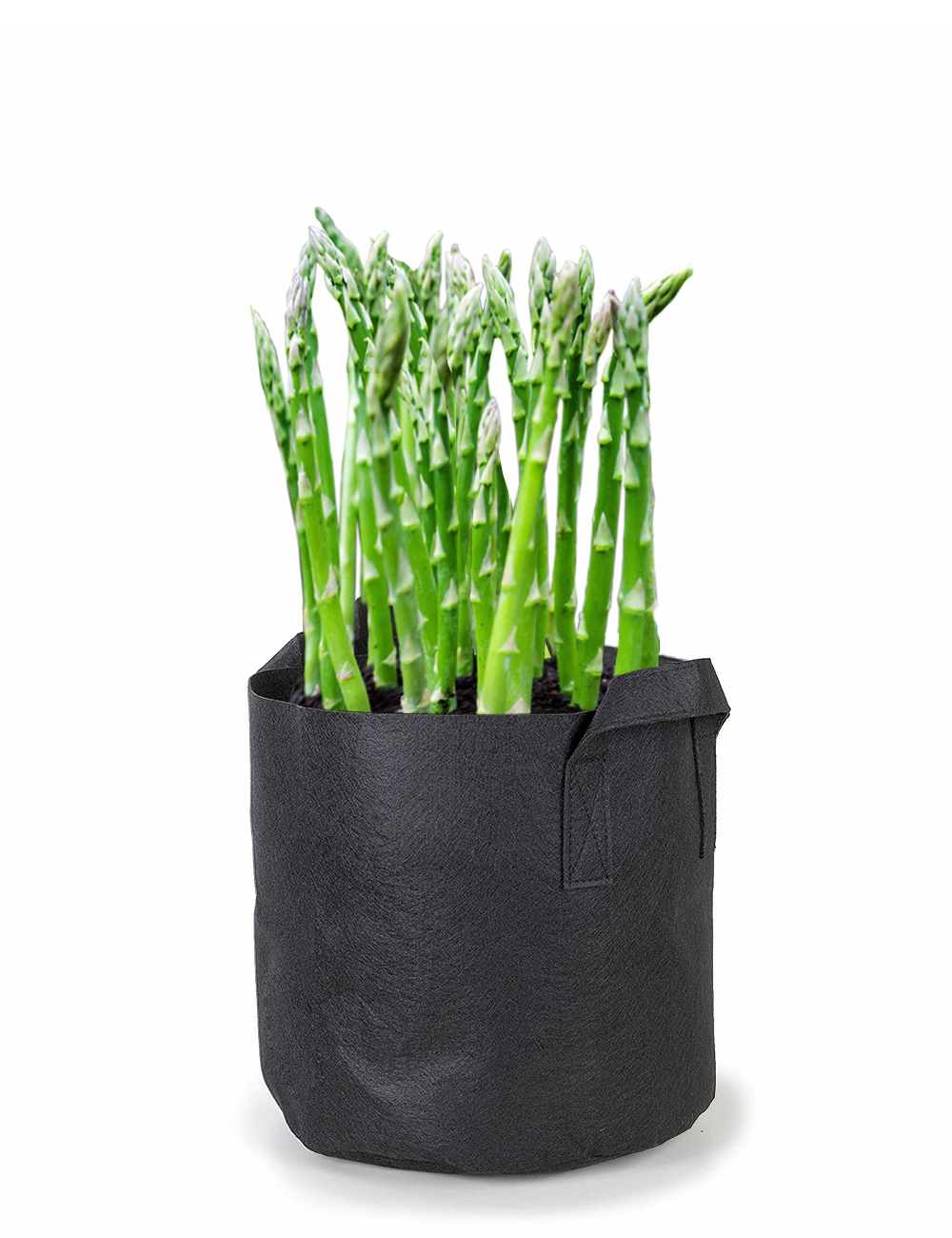 Skip Jack Fish Emulsion - Where To Buy Best Fish Emulsion Plant Fertilizer? 32 0z.**