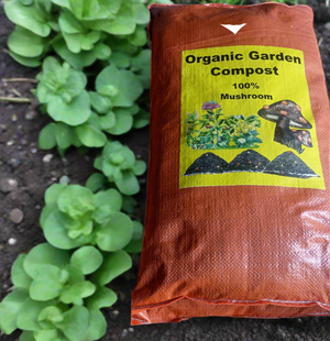 No one else has taken that step fprward to combine AI Technoloigy and apply it to a mushroom compost formula.  Skip Jack Mushroom Compost is back by 28 years  of proven results with selling to gardeners all across the United States. Thi isn't just compost - it's soil rocket fuel!!. 100% organic lab test by International Labs.