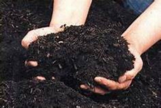 Tomato Plant Food. Fed your tomato plants and they will reward you with a great harvest. You Happy Meal Plant Food as a tea or sprinkle it around to base of your plants. Either way just be sure to feed your plants.