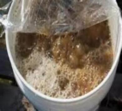 No work mixing and making this Organic Compost Tea just add water and apply to your garden.  Gardening with compost tea is a healthy way to feed your plants.Buy compost and feed your plants the best all natural tea.